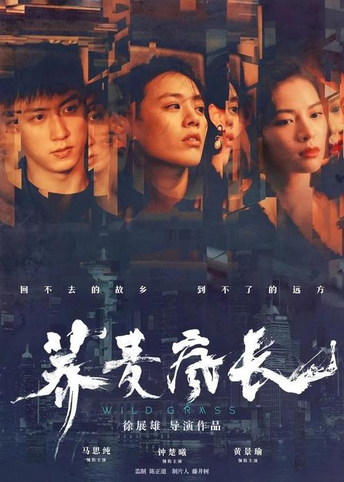 哪里能办理排污许可证